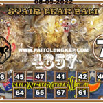 Syair Togel Sydneynightpools 08 Mei 2022