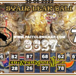 syair-togel-Sydneypoolsnight-29-juni-2022