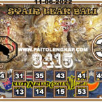 Syair Togel SydneyNightpools