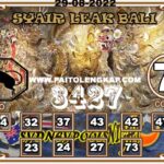 Syair Togel Sydneypoolsnight 29 Agustus 2022