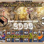 Syair Togel Sydneypoolsnight 09 Oktober 2022