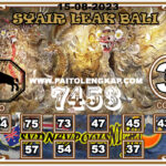 Syair Togel SydneypoolsNight 15 AGUSTUS 2023